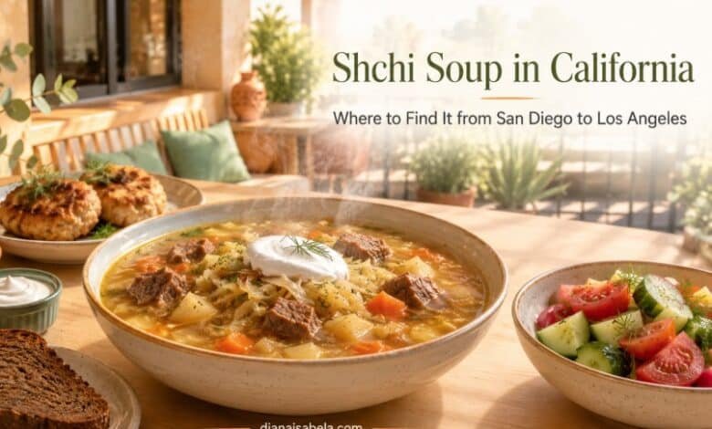 Traditional shchi soup with rye bread and kotleti for a California guide to San Diego and Los Angeles